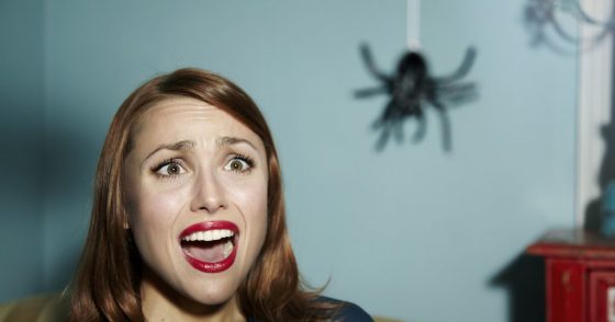 11 maneras simples de matar una araña, esta pequeña bestia que todos odiamos Quotes   